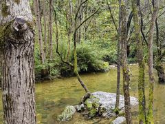 -牛背梁国家森林公园