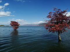 -大理洱海