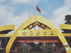 -金花茶公园