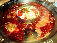 -宽窄巷子鲜牛火锅(北京首店)