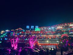 -枇杷园食为鲜火锅(南山店)