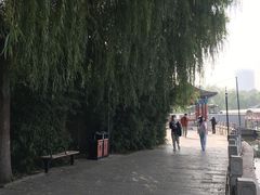 -莲花池公园