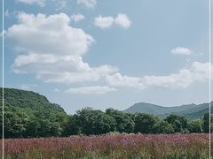 -帽儿山风景区