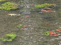 -水磨沟公园