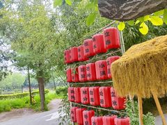-中卫御苑福膳·养生局(圆明园店)