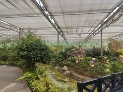 -南宫五洲植物乐园