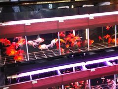-旺豪阳光超市(友谊阳光城店)