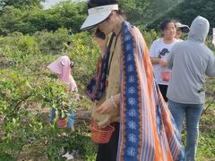 -刘爽土菜馆