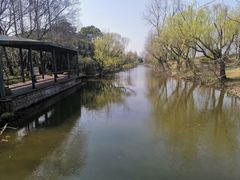 -上海滨江森林公园