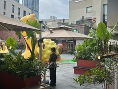 -蘑界·野生菌火锅(深业上城店)