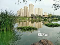 -前关湿地公园