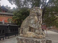 -报恩寺(平武县)