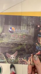 -未来动物城动物主题公园(大悦城店)