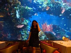 -迪拜帆船酒店海底餐厅