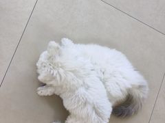 -美迦爱-牙专科·兔科·骨科诊疗中心(北苑店)