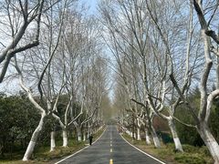 -宜兴龙背山森林公园