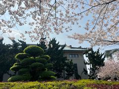 -武汉大学-樱园