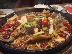 -老板恋上鱼(恒隆广场店)