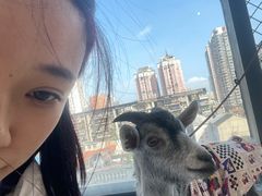 -怪兽屋·羊驼·猫咖·狗咖(俊华广场店)