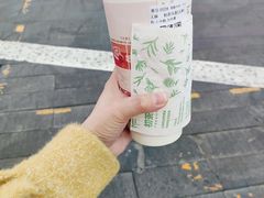 -初茶花月·重庆特产(大融城店)