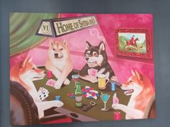 -柴犬高等学院·狗咖·柴犬售卖·宠物训练