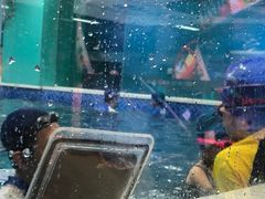 -Swim斯卫姆国际儿童游泳中心(红博中央公园店)