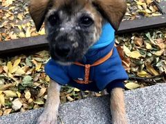 -康乐宝动物医院