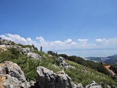 -长虫山生态公园风景林