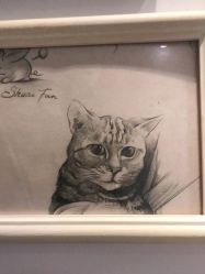 -长沙纹身·龙堂刺青·三土师傅的店