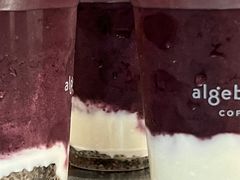 -代数学家algebraist(苏州中心店)