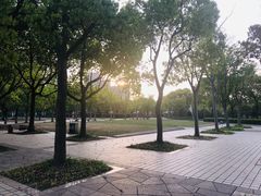 -新江湾城公园