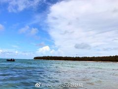 -塞尔夫岛