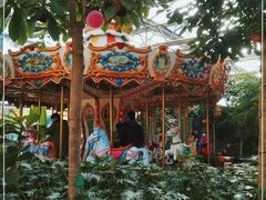 -南宫五洲植物乐园