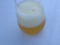 -柴门·头啖汤(天安千树店)