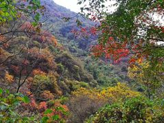-秦岭风景区