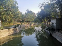 -广西壮族自治区药用植物园