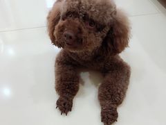 -宠颐生中康贝怡动物医院