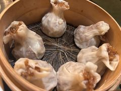 -长沙猫歌音乐餐厅(湖南女子大学店)