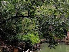 -兰亭风景区