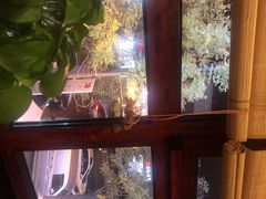 -喜牛日本料理(双街店)