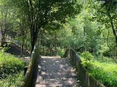 -凤栖山