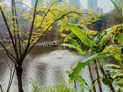 -重庆彩云湖湿地公园