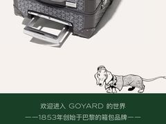 -Goyard高雅德(国贸商城店)