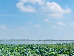 -七的湖·晚芳亭·阳澄湖农家菜·大闸蟹(莲花岛店)