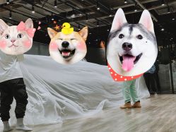 -G-STEPS舞蹈工作室