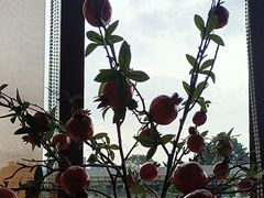 -点都德(广州白云山景区南门店)