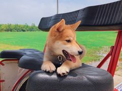 -上海海湾国家森林公园