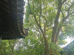 -拙政园