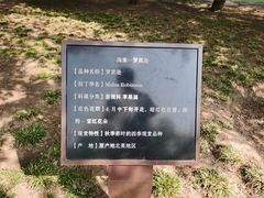 -元大都城垣遗址公园