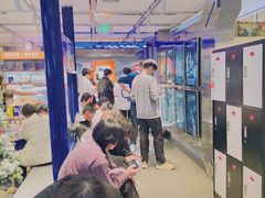 -神盾局密室逃脱(in77店)